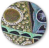 Detailed close up of Girl with Ring